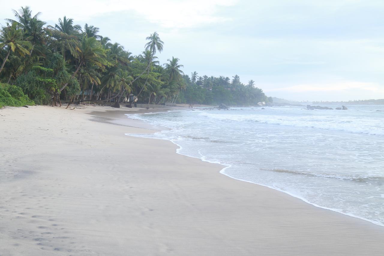 Serene Beach Hotel Dikwella Sur Exterior foto